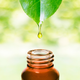 Illustration for article titled Conscious Beauty: For Earth Day, Think Ethical Productsem/em